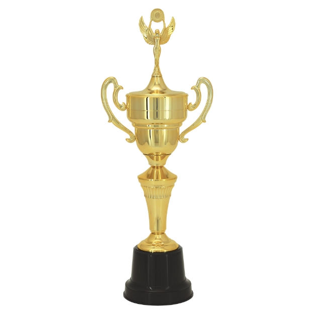 Imagem de TROFÉU MÉDIO TAÇA EM POLÍMERO METALIZADO - 300361-DO