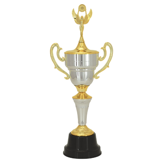 Imagem de TROFÉU MÉDIO TAÇA EM POLÍMERO METALIZADO - 300362-PR