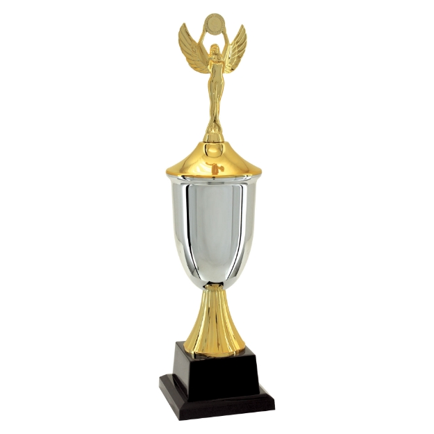 Imagem de TROFÉU MÉDIO EM POLÍMERO METALIZADO - 42 CM - 401603-PD
