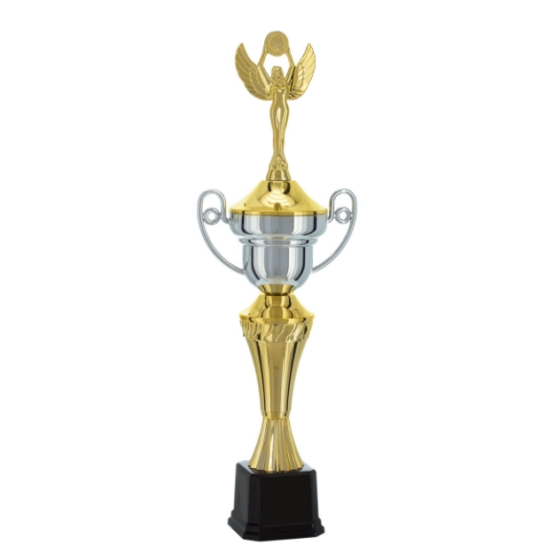 Imagem de TROFÉU MÉDIO TAÇA EM POLÍMERO METALIZADO - 46 CM - 401883-PD