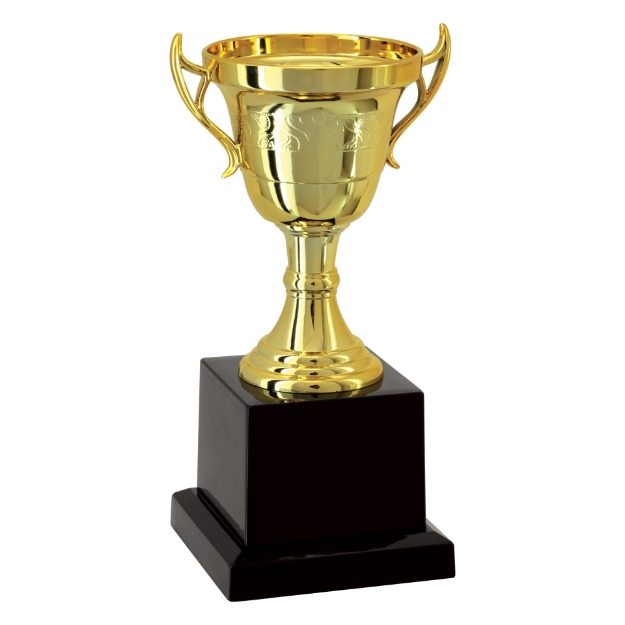 Imagem de TROFÉU TAÇA ABERTA PEQUENO EM POLÍMERO METALIZADO - 17 CM - 501126-DO