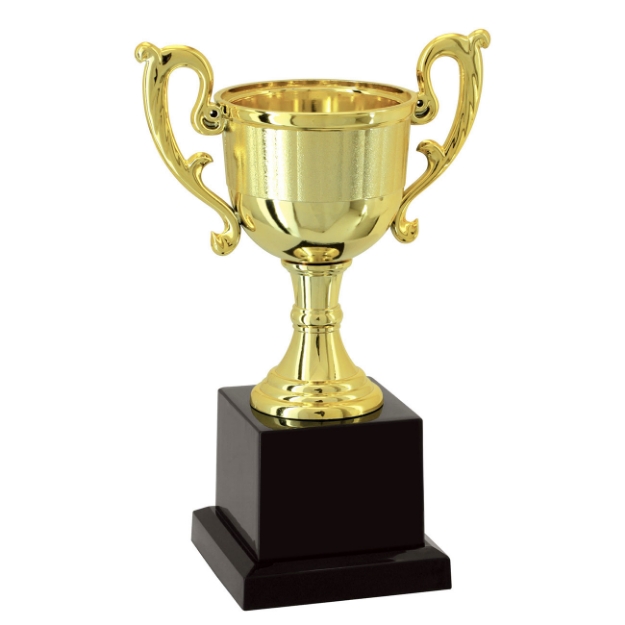 Imagem de TROFÉU TAÇA ABERTA PEQUENO EM POLÍMERO METALIZADO - 19 CM - 501206-DO