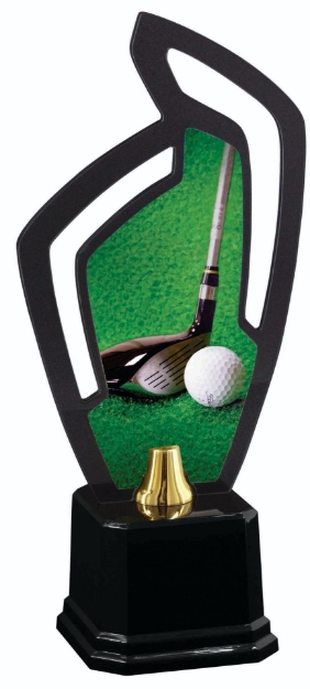Imagem de TROFÉU COM PLACA DE ACRÍLICO - PERSONALIZÁVEL - 501713-GF