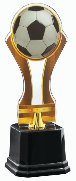 Imagem de TROFÉU COM PLACA DE ACRÍLICO PERSONALIZÁVEL - 501731-DO-FT