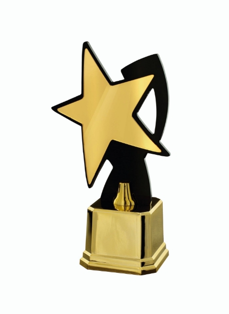 Imagem de TROFÉU COM PLACA DE ACRÍLICO EM FORMATO DE ESTRELA - 501760-EST