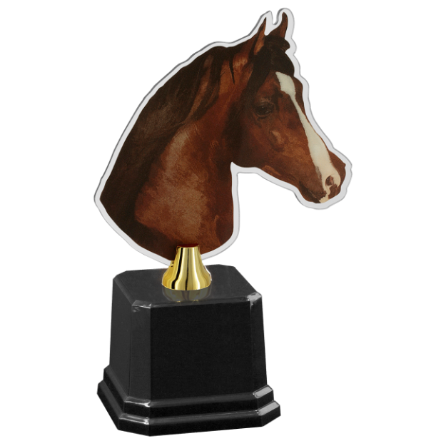 Imagem de TROFÉU PREMIAÇÃO EXPOSIÇÃO DE CAVALO EM ACRÍLICO - 502150-DO-CV
