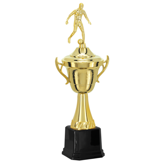 Imagem de TROFÉU TAÇA PEQUENO EM POLÍMERO METALIZADO - 53 CM - 502211-DO