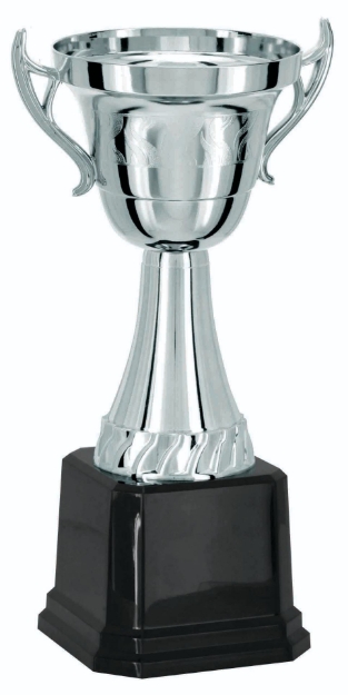 Imagem de TROFÉU TAÇA ABERTA PEQUENO EM POLÍMERO METALIZADO - 35 CM - 502214-PR