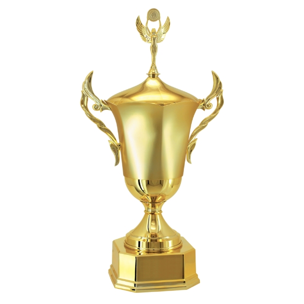 Imagem de TAÇA DE TAMANHO GRANDE EM POLÍMERO METALIZADO - 700240-DOFA
