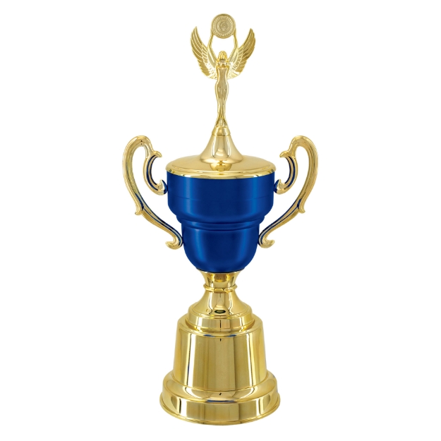 Imagem de TAÇA DE TAMANHO MÉDIO EM POLÍMERO METALIZADO - 700291-AZFA