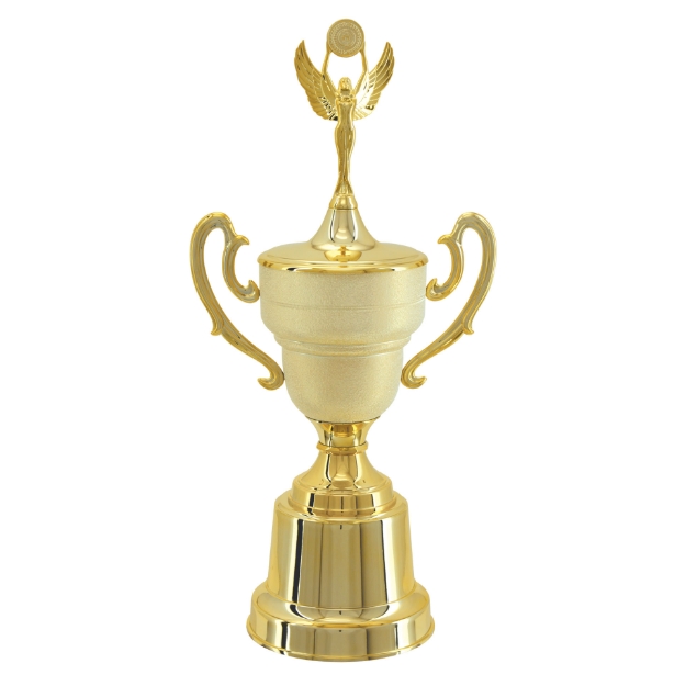 Imagem de TAÇA DE TAMANHO MÉDIO EM POLÍMERO METALIZADO - 700291-DOT