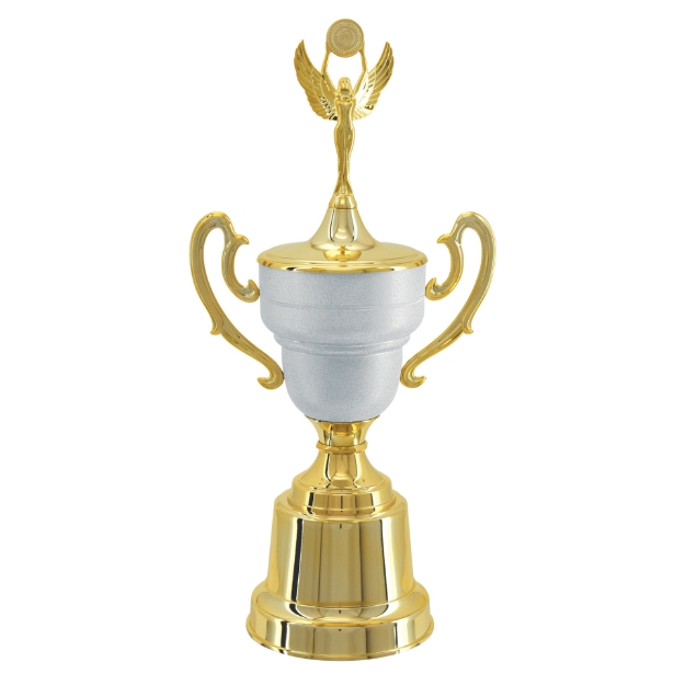 Imagem de TAÇA DE TAMANHO MÉDIO EM POLÍMERO METALIZADO - 700291-PRT