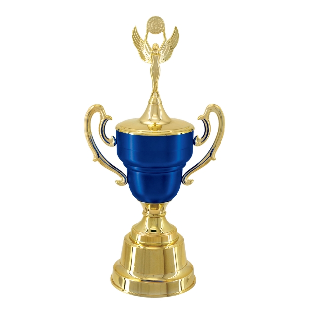 Imagem de TAÇA DE TAMANHO MÉDIO EM POLÍMERO METALIZADO - 700292-AZFA