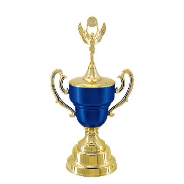 Imagem de TAÇA DE TAMANHO MÉDIO EM POLÍMERO METALIZADO - 700293-AZFA