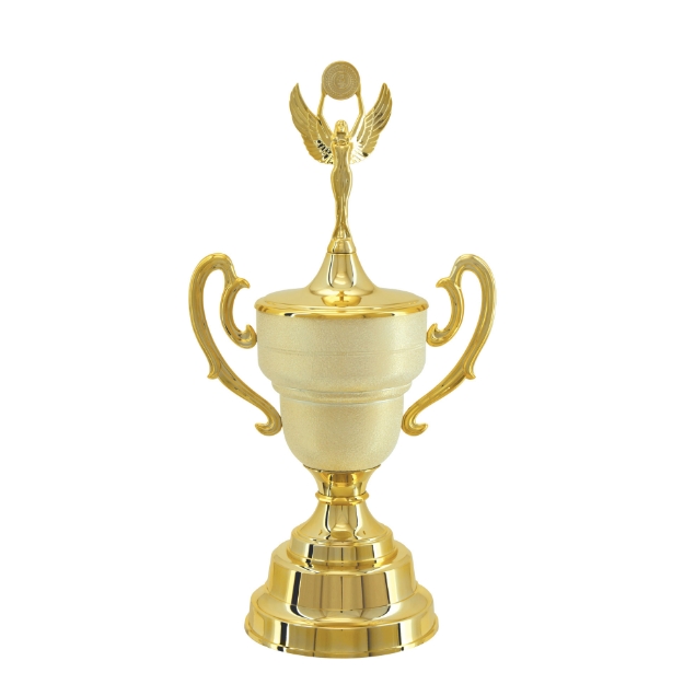 Imagem de TAÇA DE TAMANHO MÉDIO EM POLÍMERO METALIZADO - 700293-DOT