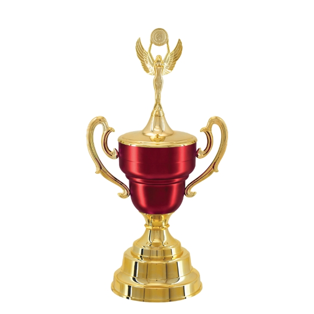Imagem de TAÇA DE TAMANHO MÉDIO EM POLÍMERO METALIZADO - 700293-VMFA