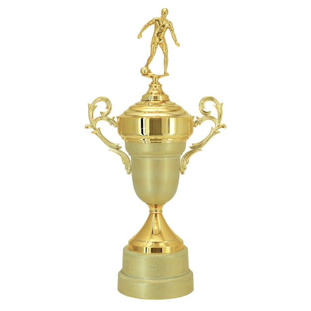 Imagem de TAÇA DE TAMANHO GRANDE EM POLÍMERO METALIZADO - 700410-DOT