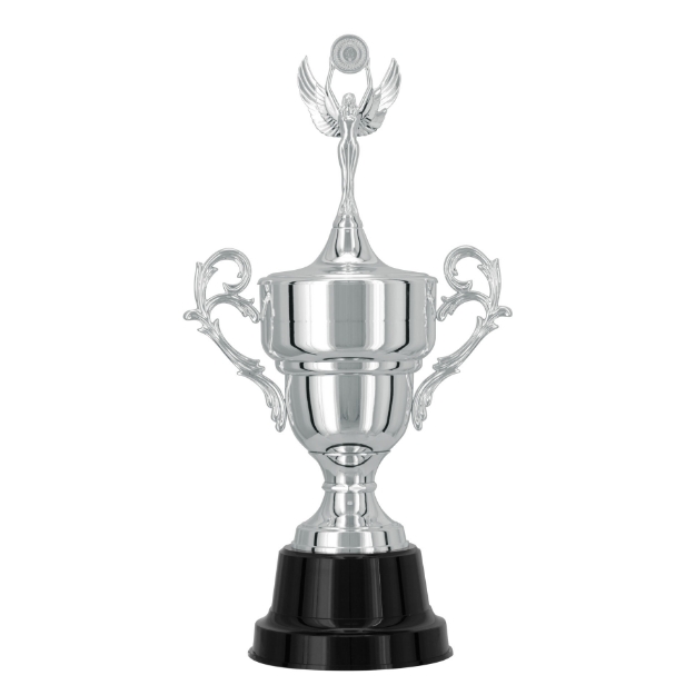 Imagem de TAÇA DE TAMANHO MÉDIO EM POLÍMERO METALIZADO - 700432-PR