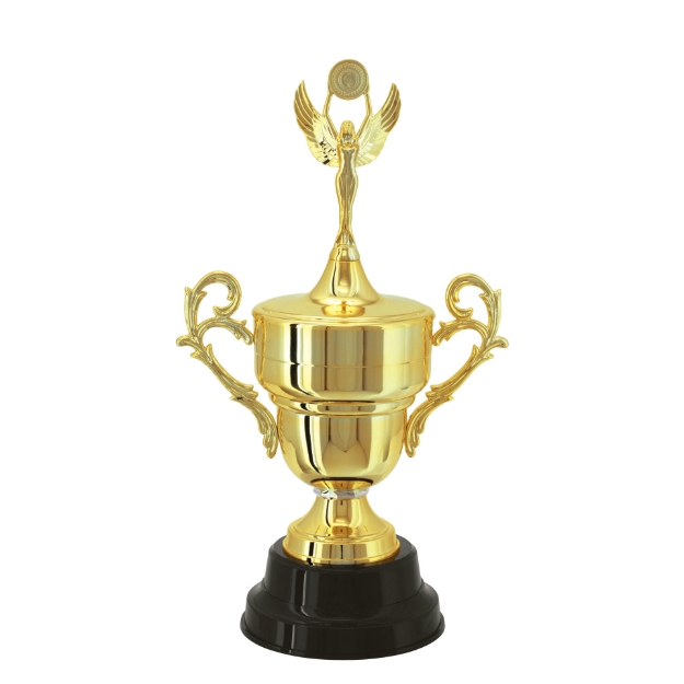Imagem de TAÇA DE TAMANHO MÉDIO EM POLÍMERO METALIZADO - 700433-DO