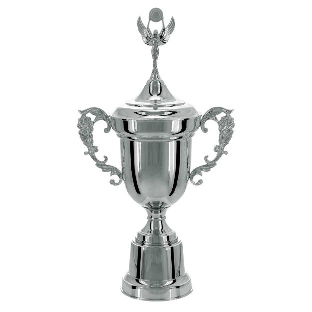 Imagem de TAÇA DE TAMANHO GRANDE EM POLÍMERO METALIZADO - 700450-PR