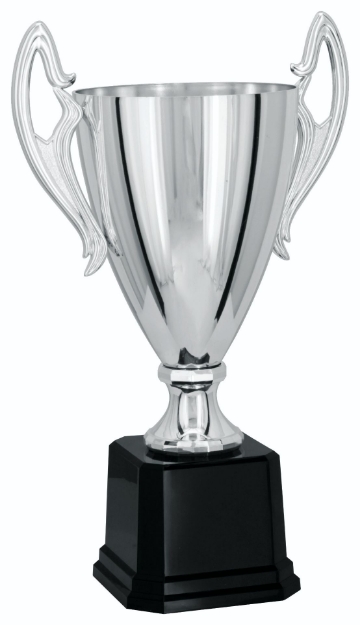Imagem de TAÇA ABERTA DE TAMANHO MÉDIO EM POLÍMERO METALIZADO - 700575-PR
