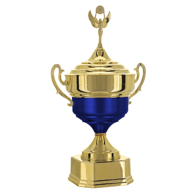 Imagem de TAÇA DE TAMANHO GRANDE EM POLÍMERO METALIZADO - 700581-AZFA