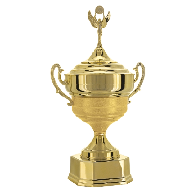 Imagem de TAÇA DE TAMANHO GRANDE EM POLÍMERO METALIZADO - 700581-DOT