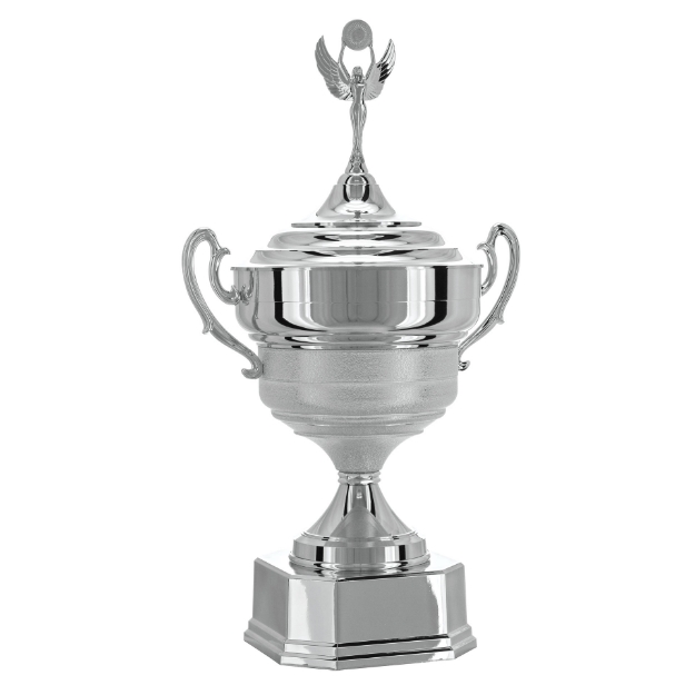 Imagem de TAÇA DE TAMANHO GRANDE EM POLÍMERO METALIZADO - 700581-PRT