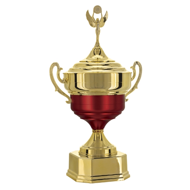 Imagem de TAÇA DE TAMANHO GRANDE EM POLÍMERO METALIZADO - 700581-VMFA