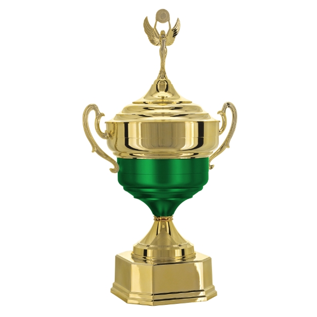 Imagem de TAÇA DE TAMANHO GRANDE EM POLÍMERO METALIZADO - 700581-VRFA