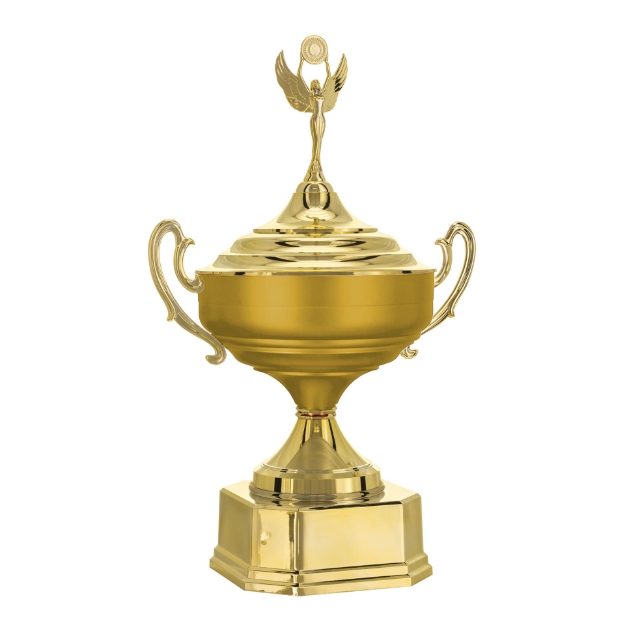 Imagem de TAÇA DE TAMANHO GRANDE EM POLÍMERO METALIZADO - 700582-DOFA
