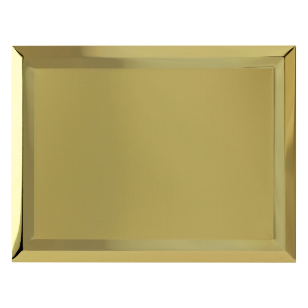 Imagem de PLACA DE HOMENAGEM DE ALUMÍNIO DOURADA COM BORDAS EM ALTO RELEVO - 20X15 CM - PL-DO-9320