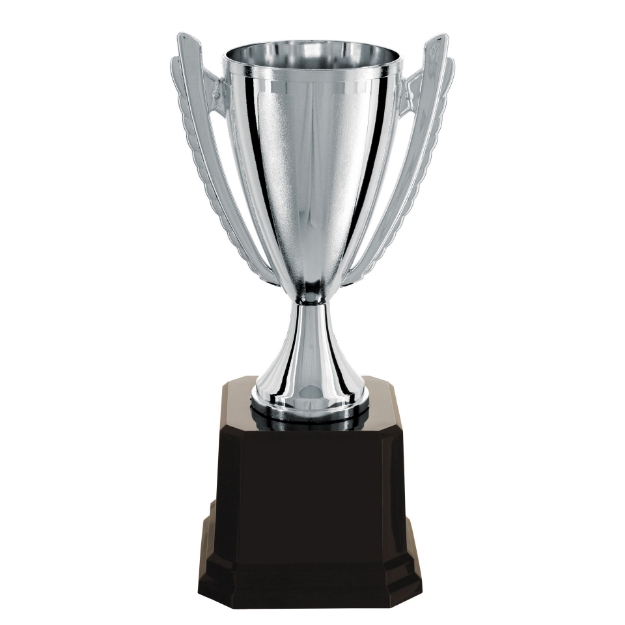 Imagem de TROFÉU MÉDIO TAÇA ABERTA EM POLÍMERO METALIZADO NA COR PRATA - 30 CM - 401806-PR