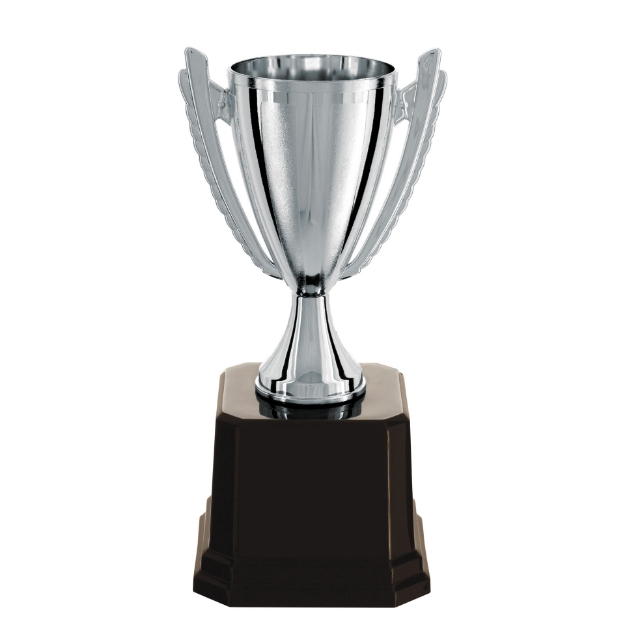 Imagem de TROFÉU MÉDIO TAÇA ABERTA EM POLÍMERO METALIZADO - 22 CM - 401807-PR
