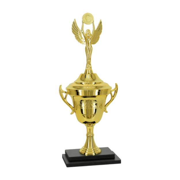 Imagem de TROFÉU PARA PREMIAÇÃO GERAL COM BASE DE MDF E TAÇA METALIZADA - PLM-672-DO