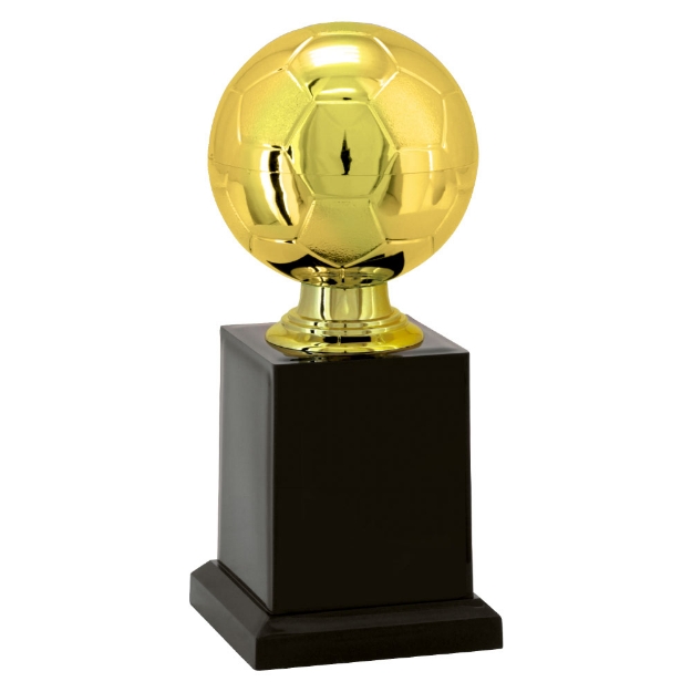 Imagem de TROFÉU PEQUENO PARA FUTEBOL EM POLÍMERO METALIZADO - 18 CM - 500141-DO