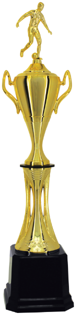 Imagem de TROFÉU MÉDIO TAÇA EM POLÍMERO METALIZADO - 93 CM - 301111-DO