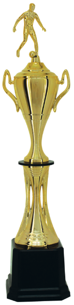 Imagem de TROFÉU MÉDIO TAÇA EM POLÍMERO METALIZADO - 79 CM - 301112-DO