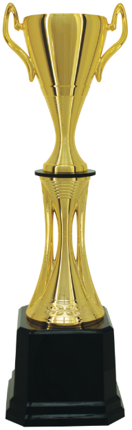 Imagem de TROFÉU MÉDIO TAÇA ABERTA EM POLÍMERO METALIZADO - 73 CM - 301115-DO