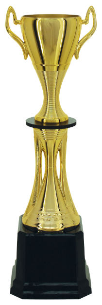 Imagem de TROFÉU MÉDIO TAÇA ABERTA EM POLÍMERO METALIZADO - 50 CM - 301117-DO