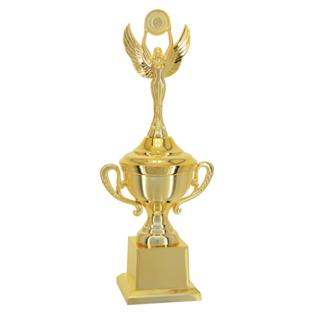 Imagem de TROFÉU TAÇA PEQUENO EM POLÍMERO METALIZADO - 44 CM - 504111-DO