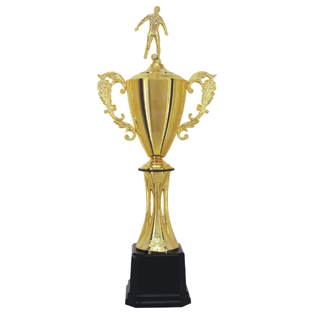 Imagem de TROFÉU MÉDIO TAÇA EM POLÍMERO METALIZADO - 96CM - 301121-DO