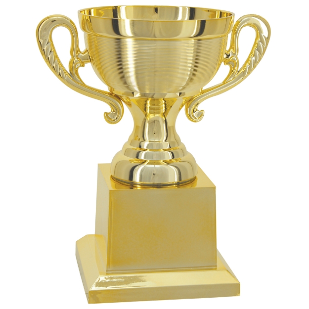 Imagem de TROFÉU TAÇA ABERTA PEQUENO EM POLÍMERO METALIZADO - 21 CM - 504115-DO