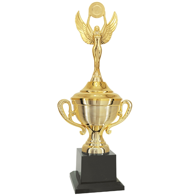 Imagem de TROFÉU TAÇA PEQUENO EM POLÍMERO METALIZADO - 44 CM - 504051-DO