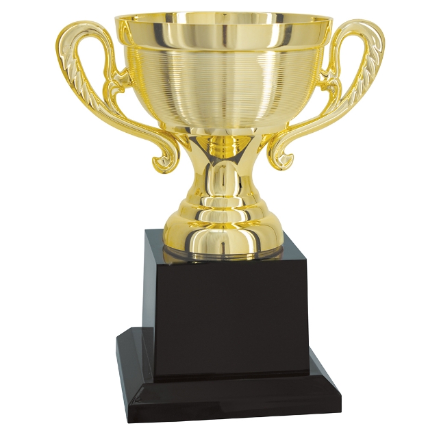 Imagem de TROFÉU TAÇA ABERTA PEQUENO EM POLÍMERO METALIZADO - 21 CM - 504055-DO