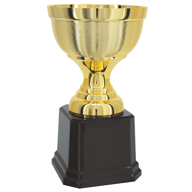 Imagem de TROFÉU TAÇA ABERTA PEQUENO EM POLÍMERO METALIZADO - 20 CM - 504065-DO