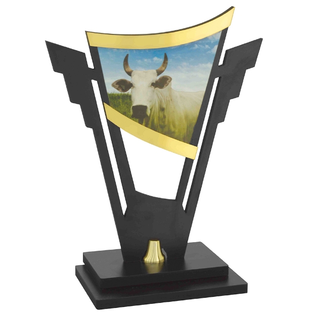 Imagem de TROFÉU PARA PERSONALIZAÇÃO EM MDF - PLM-761-BOI