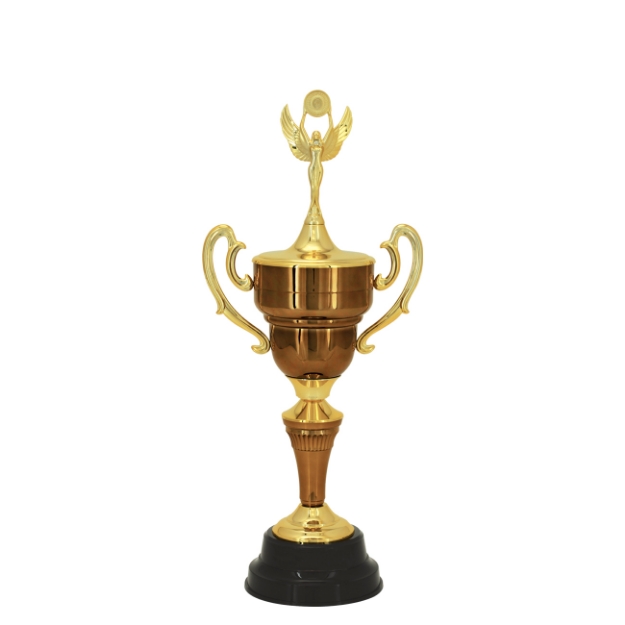 Imagem de TROFÉU MÉDIO TAÇA EM POLÍMERO METALIZADO - 300363-BZN