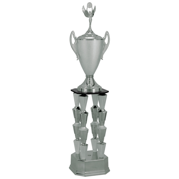 Imagem de TROFÉU GRANDE EM POLIMERO METALIZADO - 200812-PRT