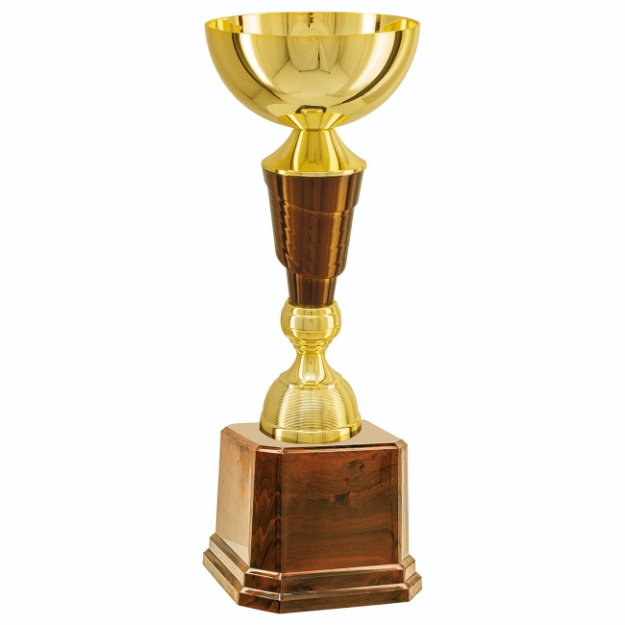 Imagem de TROFÉU MÉDIO COPA ABERTA EM POLÍMERO METALIZADO - 41 CM - 402806-CAS